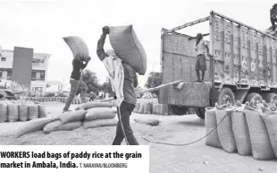  ?? T. NARAYAN/BLOOMBERG ?? Workers load bags of paddy rice at the grain market in Ambala, India.