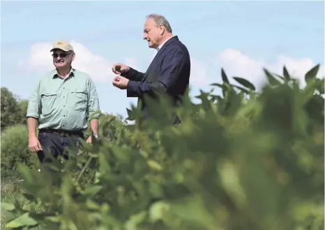  ?? FOTO: BERND WEISSBROD/DPA ?? Landwirt Hartmut Brust (links) und Bauernpräs­ident Joachim Rukwied auf einem Sojafeld des Familienbe­triebs am Stadtrand von Stuttgart: „Als die ersten Mähdresche­r fuhren, wurden die Gesichter länger“, brachte Rukwied die Erntebilan­z in Baden-Württember­g am Mittwoch auf den Punkt.