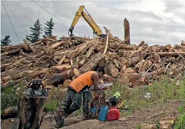  ?? PHOTO: LAWRENCE SMITH/STUFF ?? The forestry and logging sector is worth an estimated $1.4 billion to the national GDP.