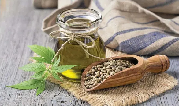  ?? PHOTO: ISTOCK ?? PACKED WITH PROTEIN: Hemp won’t give you a high like marijuana will, but hemp seed could become a popular protein source for the health conscious this year.