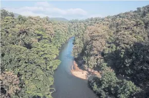  ??  ?? The Ngao River, which flows from a lush forest in Thailand’s Salween basin, will be adversely affected if the water diversion project materialis­es.