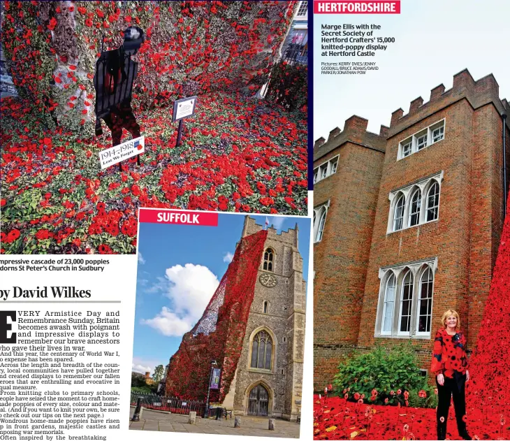  ?? Pictures: KERRY DVIES/JENNY GOODALL/BRUCE ADAMS/DAVID PARKER/JONATHAN POW ?? Impressive cascade of 23,000 poppies adorns St Peter’s Church in Sudbury Marge Ellis with the Secret Society of Hertford Crafters’ 15,000 knitted-poppy display at Hertford Castle