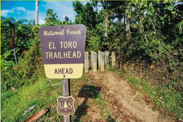  ?? isabel ferré sadurní photograph­y ?? En ambas fotos se aprecia el sendero El Toro Trail, al igual se puede disfrutar una vista hacia el resto de Canóvanas y el mar Atlántico.