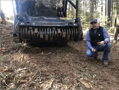  ?? NATALIE HANSON — ENTERPRISE-RECORD ?? Mark Rivas of Bobcat Chico explains the power of using masticatio­n for fire prevention and the properties of the mulch which results, Friday in Cohasset.