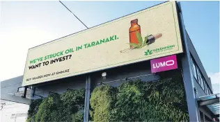  ?? PHOTO: THE NEW ZEALAND HERALD ?? Eyeing a purchase . . . Cannabis startup Greenfern Industries recently raised more than $2 million from investors via crowdfundi­ng site Equitise.
