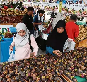 We Re Not Eating Enough Fruits Pressreader