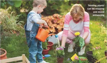  ??  ?? Tending plants can be relaxing and mood enhancing