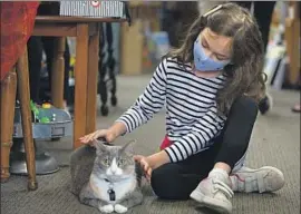  ?? Francine Orr Los Angeles Times ?? ELLI TATIYANTS, 7, of Glendale, plays with Pippi the cat at Once Upon a Time in Montrose. The pandemic has left the beloved children’s bookstore struggling.