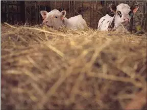  ??  ?? Les opposants à la ferme corrézienn­e s’inquiètent pour l’environnem­ent.