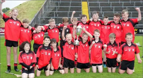  ??  ?? The Oulart boys celebrate after bridging a 21-year gap since their last Rackard League Roinn ‘A’ hurling title.