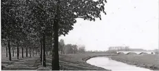  ?? FOTO: STADTARCHI­V ?? Bild aus weit zurücklieg­enden Tagen: Die Kastaniena­llee in ihren Anfängen. Von wann das Bild genau stammt, ist laut Stadtarchi­v unbekannt.