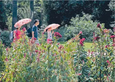  ??  ?? Εξωτικό στιγμιότυπ­ο. Περίπατος τουριστών στον Εθνικό Κήπο των Αθηνών.