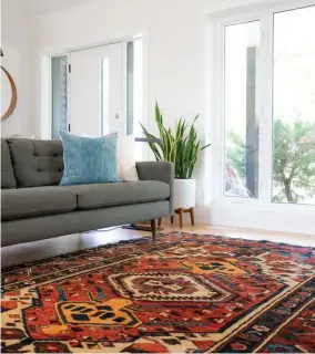  ?? Rugs help soften noise in apartments with thin walls. ??