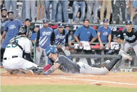  ?? ?? Luis Barrera, de los Tigres del Licey, se desliza en el plato para anotar una carrera en el partido de anoche frente a las Estrellas Orientales.