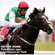  ??  ?? MOTOR HOME: Pyledriver was impressive at York