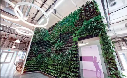  ?? Special to Okanagan Weekend ?? The Okanagan Centre for Innovation, which features a living plant wall in the lobby, won the Stan Rogers Memorial Award from the B.C. Economic Developmen­t Associatio­n.