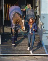  ??  ?? LATE ARRIVAL: A horse developing transport-related pleuropneu­monia may not have a fever immediatel­y after a long trailer ride.