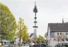  ??  ?? Majestätis­ch ragt er in der Ortsmitte in die Höhe: Der Ertinger Maibaum, der im vergangene­n Jahr gewonnen hat, muss in diesem Jahr eine „Ehrenrunde“drehen.