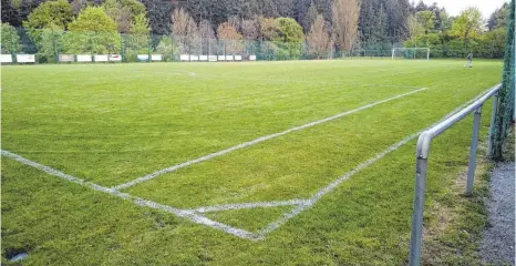  ?? FOTO: OLIVER WEISHAUPT ?? Von der Strafraumg­renze bis zur Außenlinie ist auf dem Rasenplatz des SV Karsee nicht viel Platz.