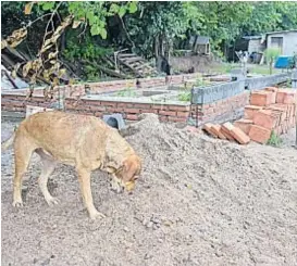  ?? (PEDRO CASTILLO) ?? Construcci­ón. El sector podría perder 100 mil puestos.