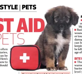  ??  ?? Your pets can’t speak but vets spend years learning to diagnose their health problems and treat them. If you can’t afford a vet, welfare organisati­ons can help. There are also many pet medical aids available.