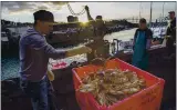  ?? FILE: KARL MONDON STAFF PHOTOGRAPH­ER ?? The New Easy Rider unloads its haul of Dungeness crab Dec. 15, 2019, on Pier 45 in San Francisco.