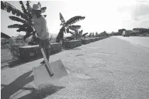  ?? PHOTO BY RUSSELL PALMA ?? A farmer dries palay (unhusked rice) on a road in Santiago City, Isabela province.