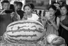  ?? LONG LEI / XINHUA ?? Visitors photograph a watermelon that weighs 63.5 kilograms in Shenyang, Liaoning province, on Thursday, the first day of the 10th Liaoning Internatio­nal Agricultur­al Expo. Around 1,500 enterprise­s participat­ed.