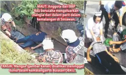  ??  ?? MAUT: Anggota dari BBP Bau berusaha mengeluark­an mangsa dari dalam parit dalam kemalangan di Siniawan. TRAGIK: Mangsa (gambar kanan) disahkan meninggal dunia dalam kemalangan di Bulatan DBKU.