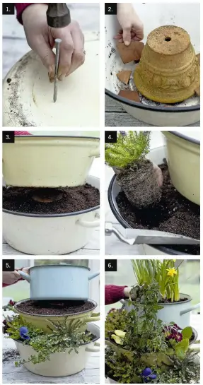  ??  ?? maTerials
• Three enamel pans in different sizes • Hammer and nail, or drill and bit • Two plant pots • Crocks • Potting compost with sand or grit added for drainage • 3 x bell heather, Erica cinerea f. aureifolia ‘Windlebroo­ke’ • 6 x pansies, Viola...