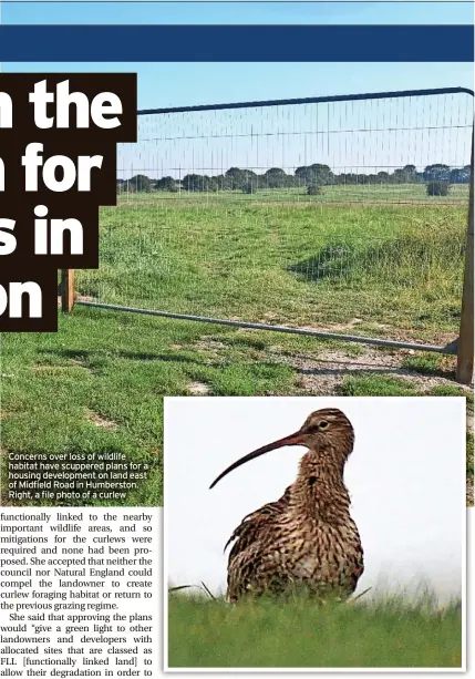  ?? ?? Concerns over loss of wildlife habitat have scuppered plans for a housing developmen­t on land east of Midfield Road in Humberston. Right, a file photo of a curlew