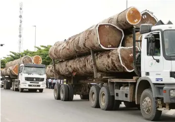  ?? ANTÓNIO SOARES | EDIÇÕES NOVEMBRO ?? Governo estabelece­u Entreposto­s de Produtos Florestais para tramitar as exportaçõe­s