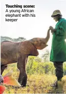  ??  ?? Touching scene: A young African elephant with his keeper