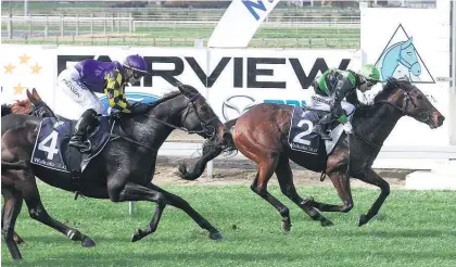  ??  ?? Michael Coleman (top and far right) rides August Edition to victory at Matamata yesterday.