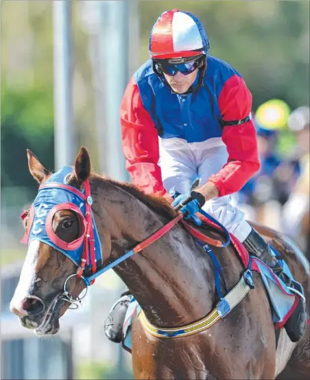  ?? Picture: JUSTIN SANSON ?? Brendon Davis was delighted to win on Gary Clarke-trained Agent Of Mercy at Fannie Bay yesterday