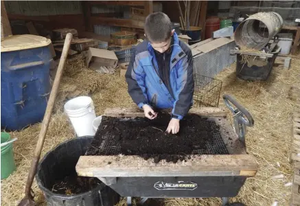  ??  ?? The author’s son is hard at work sifting worm castings and filling orders. Side hustles can teach kids important skills and provide them with fairly earned cash.