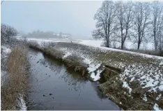  ?? Foto: Barbara Wild ?? Der Kesseldeic­h zwischen Donauwörth und Tapfheim muss aufgestock­t werden, um am Ende einen Rückhalter­aum für Hochwasser zu erhalten.