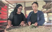  ??  ?? Tanyawan Ngerdkrato­ke, left, and Kwanla Nachom check their silkworm caterpilla­rs to ensure they are healthy. It’s possible that they can be infected with diseases if not properly cared for.