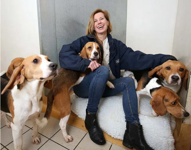  ??  ?? TAILS OF JOY: Eva Ellis, manager of the ISPCA Longford centre, with some of the beagles; right, from top, two of the new arrivals; Maeve Sheehan welcomes the dogs; Neil Leonard and Kelley Hynes with two of the cats. Photos: Frank McGrath and Tony Gavin