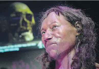  ?? JUSTIN TALLIS/AFP/GETTY IMAGES ?? A reconstruc­tion made from the skull of a man who lived 10,000 years ago is displayed Tuesday at the National History Museum in London. Researcher­s say Europeans’ pale skin tones may have developed much later than thought.