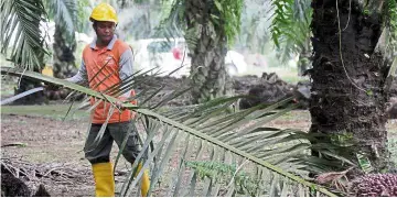  ??  ?? Sowing support: A government emphasis on agricultur­al issues is crucial in rallying support among the rural folk, particular­ly within the Felda bloc.