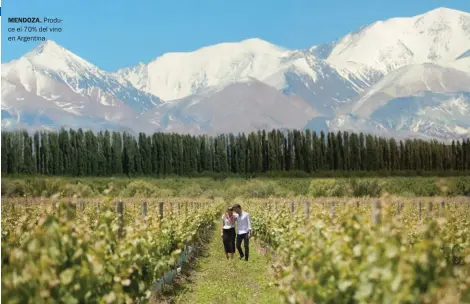  ??  ?? MENDOZA. Produce el 70% del vino en Argentina.