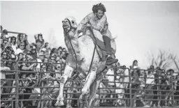  ?? TOM TINGLE/THE REPUBLIC ?? Camel races were part of the action Friday when the Chandler Ostrich Festival got underway for its run which continues through Sunday.