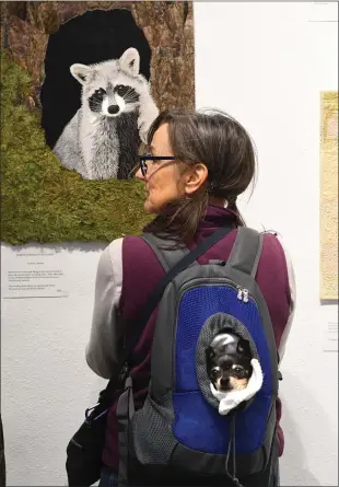  ?? CHRIS RILEY — TIMES-HERALD ?? Cricket peeks out from her pack as she rides around with Sonia Murray, from Fairfield, as they look at North American Raccoon a free motion embroidery on canvas by JoAnne Lincoln at The Nature of Thread art quilt show at Mare Island Art Studios on Saturday.