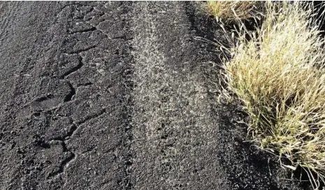  ?? PHOTO: PAUL MCINTOSH ?? WEED SEEDS: Feather Top Rhodes grass shedding thousands of seeds on Darling Downs farming country.