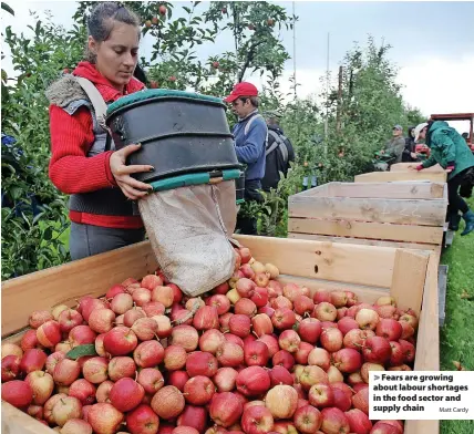  ?? Matt Cardy ?? Fears are growing about labour shortages in the food sector and supply chain