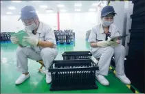  ?? SHI YUKUN / FOR CHINA DAILY ?? Employees work on the production line of a new energy lithium-ion battery plant in Nanchang, Jiangxi province.