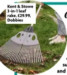  ?? ?? Kent & Stowe 3-in-1 leaf rake, £29.99, Dobbies