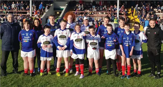  ??  ?? Members of the GAA 4 All camp pictured at the Louth county final.