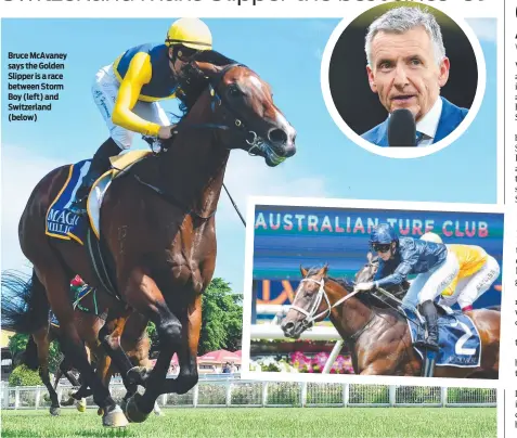  ?? ?? Bruce McAvaney says the Golden Slipper is a race between Storm Boy (left) and Switzerlan­d (below)